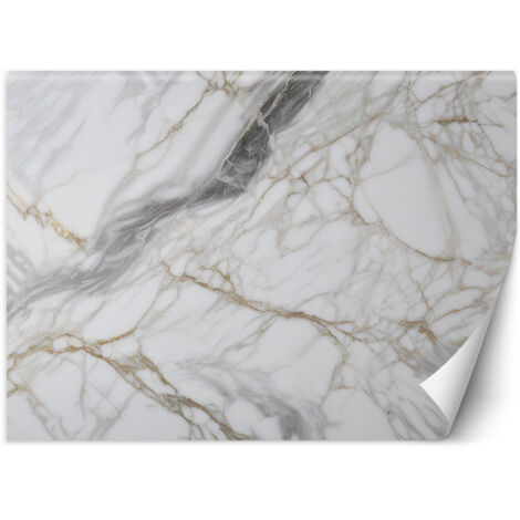 Fototapete Grau-Beige Marmor Abstraktion 100x70 cm