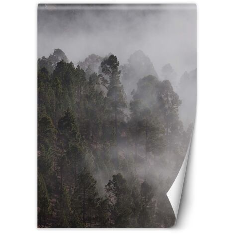 Fototapete Grüner Wald im Nebel 200x280 cm