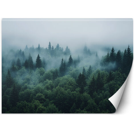 Fototapete Grüner Wald im Nebel Naturlandschaft 100x70 cm
