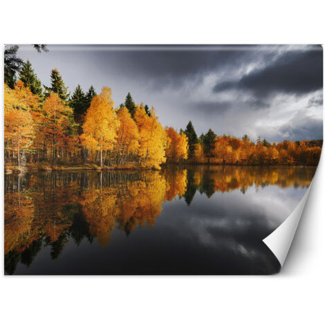 Fototapete Herbstwald am See 100x70 cm