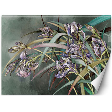 Fototapete Iris Blumen im Wind 100x70 cm