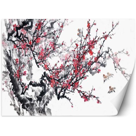 Fototapete, Kirschblüten – 150x105