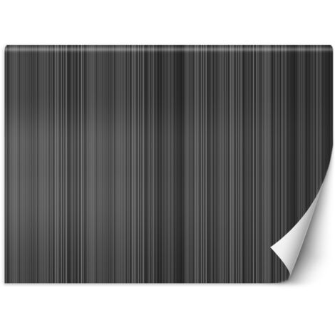 Fototapete Linien Abstrakt Textur Grau 3D 100x70 cm