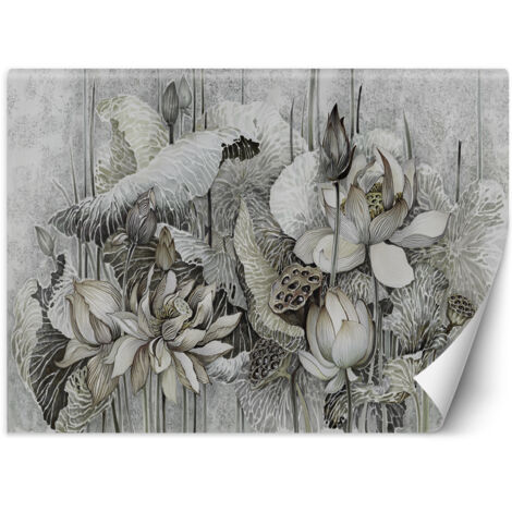 Fototapete Lotus Blumen Natur Grau 350x245 cm