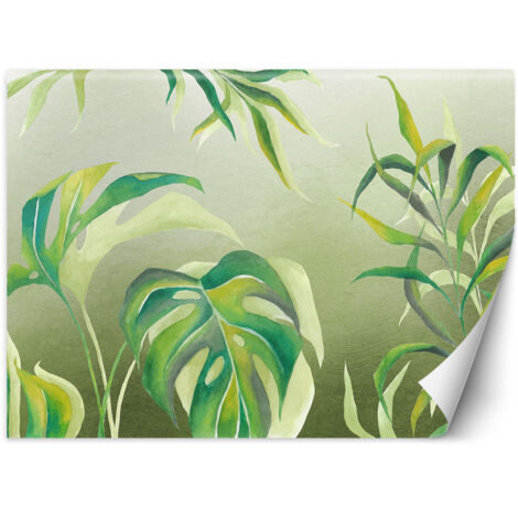 Fototapete Monstera Blätter Pflanzen Grün 100x70 cm