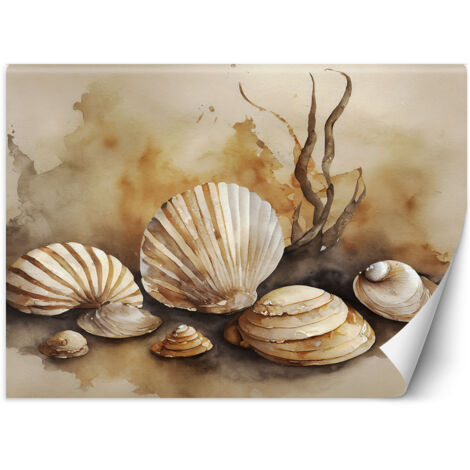 Fototapete nautische Muscheln Acryl 150x105 cm