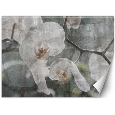 Fototapete Orchidee Blumen Retro 368x254 cm