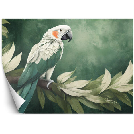 Fototapete Papagei Vogel Tiere 100x70 cm