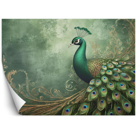 Fototapete Pfau Tiere Vogel 100x70 cm