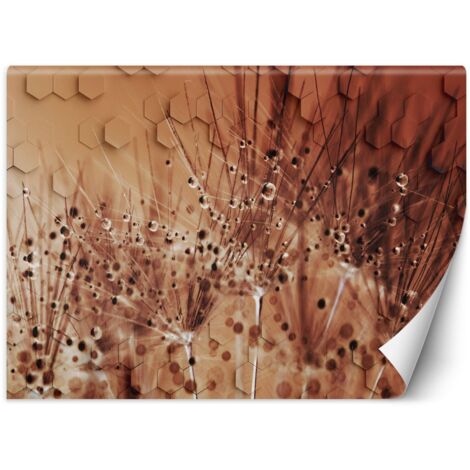 Fototapete Pusteblume Tautropfen Braun 100x70 cm