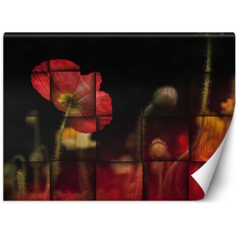 Fototapete Rote Mohnblume 200x140 cm