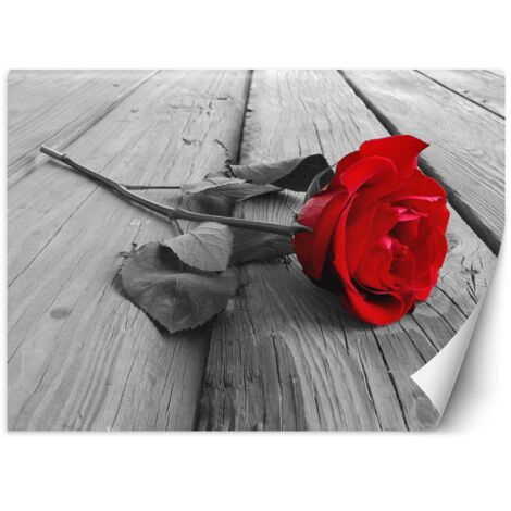 Fototapete, Rote Rose am Pier – 200x140