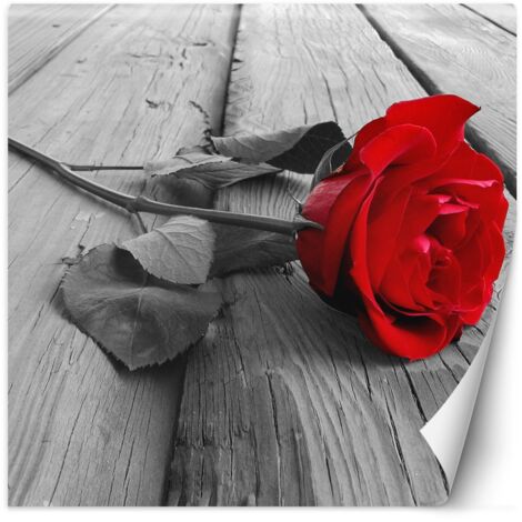 Fototapete Rote Rose Blumen Holz Steg 100x100 cm