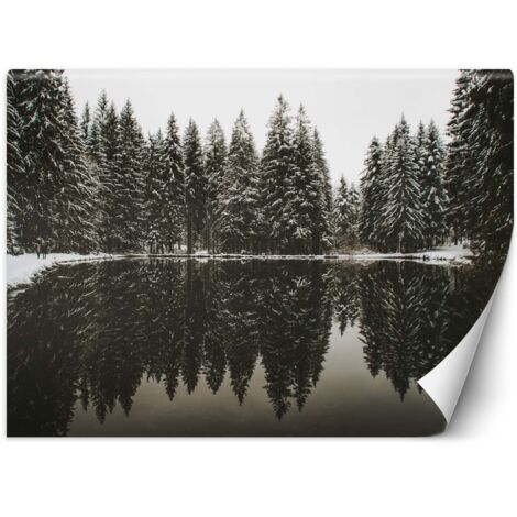 Fototapete See im Wald im Winter 150x105 cm