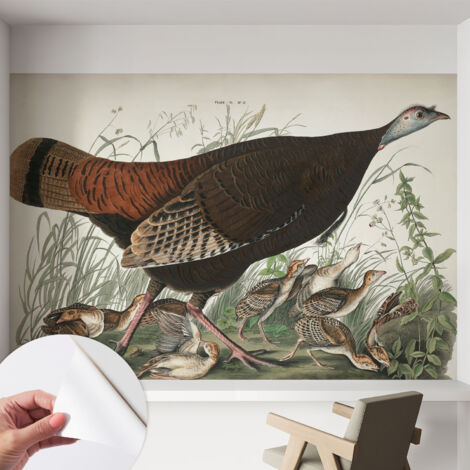 Fototapete Selbstklebend - Büro Wandgestaltung - Wanddekoration Wohnzimmer Natürliche Harmonie 152x104 cm