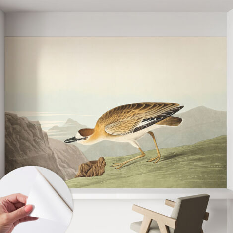 Fototapete Selbstklebend - Wanddekoration - Wandfolie - 3D Tapete Wand - Wohnungsdeko Bergvogel 152x104 cm