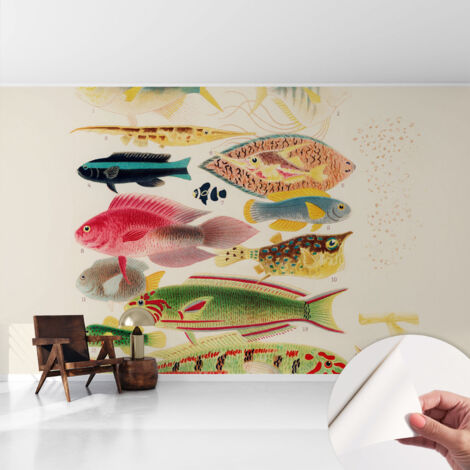 Fototapete Selbstklebend - Wanddekoration - Wandfolie - 3D Tapete Wand - Wohnungsdeko Bunte Fische 416x254 cm
