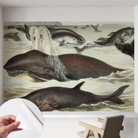 Fototapete Selbstklebend - Wanddekoration - Wandfolie - 3D Tapete Wand - Wohnungsdeko Meeresbewohner 152x104 cm