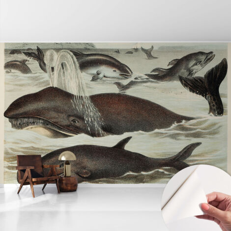 Fototapete Selbstklebend - Wanddekoration - Wandfolie - 3D Tapete Wand - Wohnungsdeko Meeresbewohner 416x254 cm