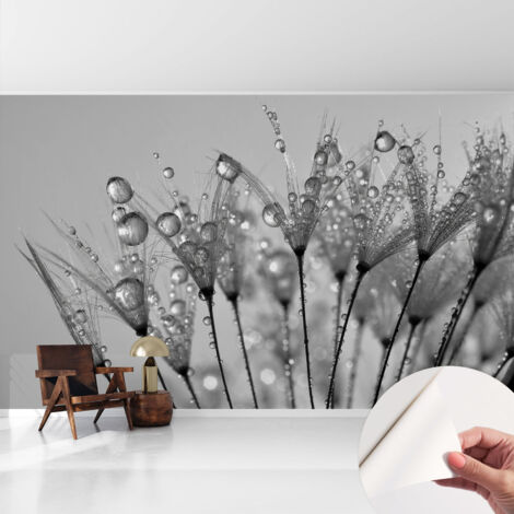 Fototapete Selbstklebend - Wanddekoration - Wandfolie - 3D Tapete Wand - Wohnungsdeko Nasse Zartheit 416x254 cm
