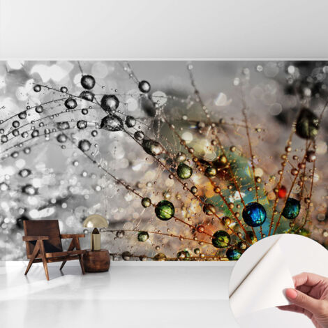 Fototapete Selbstklebend - Wanddekoration - Wandfolie - 3D Tapete Wand - Wohnungsdeko Tauperlen 416x254 cm