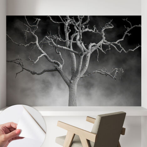 Fototapete Selbstklebend - Wandtattoo - leicht anzubringen - Wandverkleidung Nebelschleier umhüllter Baum 104x70 cm