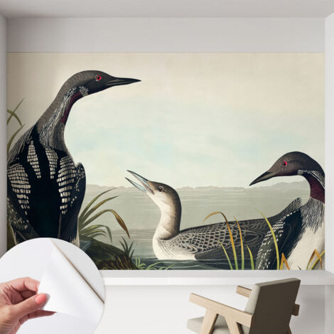 Fototapete Selbstklebend - Wandtattoo - leicht anzubringen - Wandverkleidung Vögel am Wasser 152x104 cm