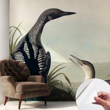 Fototapete Selbstklebend - Wandtattoo - leicht anzubringen - Wandverkleidung Vögel am Wasser 250x250 cm