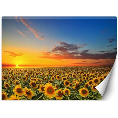 Fototapete, Sonnenblumenfeld - 100x70