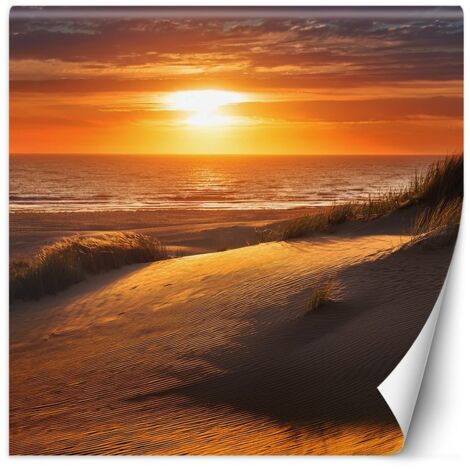 Fototapete Sonnenuntergang Strand Natur 100x100 cm