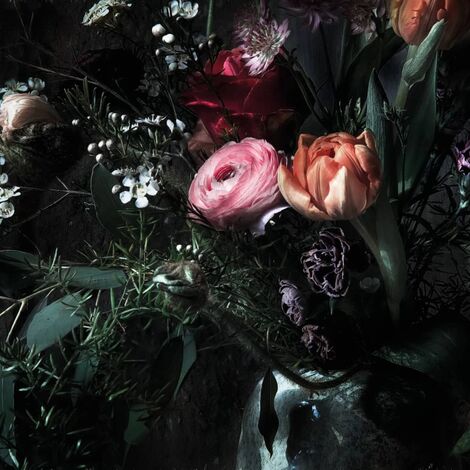 Fototapete Still Life 368×254 cm Komar - Mehrfarbig