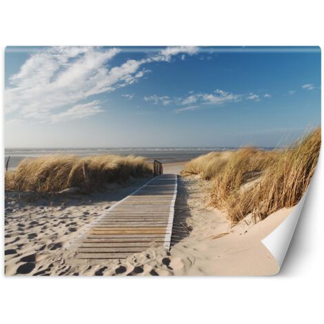 Fototapete, Strand-Meeresdünen – 254x184