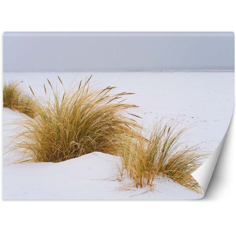 Fototapete Strand See Dünen Landschaft 150x105 cm