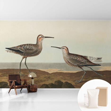 Fototapete Tapete Vliestapete mit Kleber Büro Wandgestaltung - Wanddekoration Wohnzimmer Vogelsilhouetten 416x254 cm