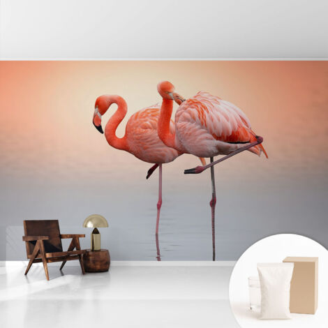 Fototapete Tapete Vliestapete mit Kleber Büro Wandgestaltung - Wanddekoration Wohnzimmer Zarte Flamingos 416x254 cm