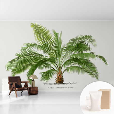 Fototapete Tapete Vliestapete mit Kleber - trendige Wanddeko - Schlafzimmer - Wohnzimmer Glänzende Palme 416x254 cm