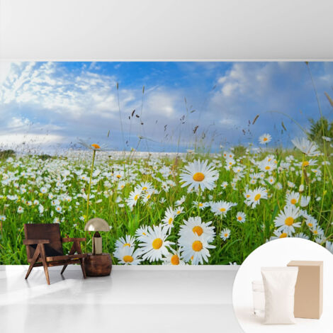 Fototapete Tapete Vliestapete mit Kleber - trendige Wanddeko - Schlafzimmer - Wohnzimmer Sommerwiese 416x254 cm