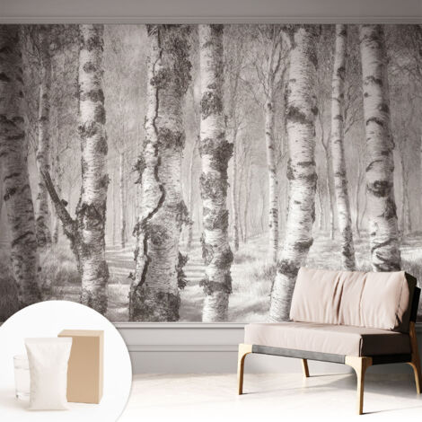 Fototapete - Tapete Vliestapete mit Kleber - Wandtapete Moderne Wandbild Schlafzimmer Wohnzimmer Birkenwald 312x219 cm