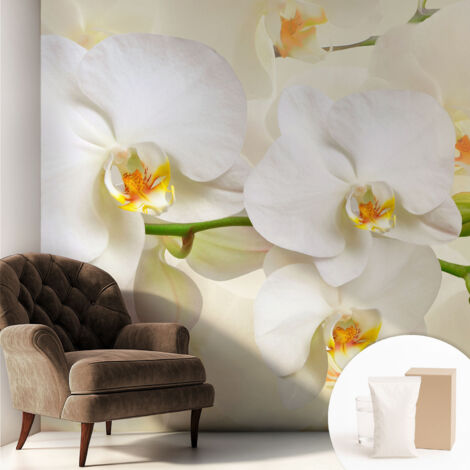 Fototapete - Tapete Vliestapete mit Kleber - Wandtapete Moderne Wandbild Schlafzimmer Wohnzimmer Blumenpracht 250x250 cm