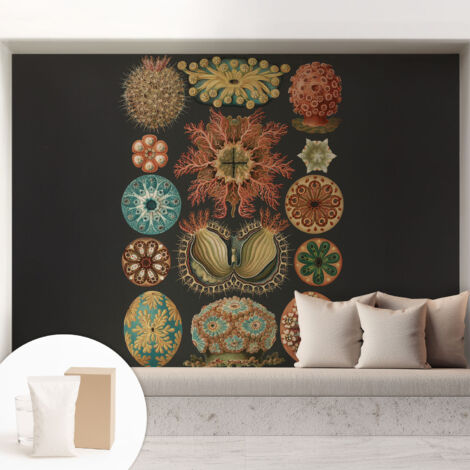 Fototapete - Tapete Vliestapete mit Kleber - Wandtapete Moderne Wandbild Schlafzimmer Wohnzimmer Meeresinspirationen 208x146 cm