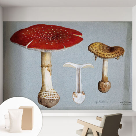 Fototapete - Tapete Vliestapete mit Kleber - Wandtapete Moderne Wandbild Schlafzimmer Wohnzimmer Pilzstiche 152x104 cm