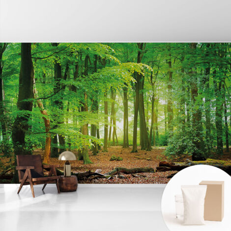 Fototapete Tapete Vliestapete mit Kleber - Wandtattoo - leicht anzubringen - Wandverkleidung Grüner Wald 416x254 cm