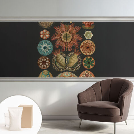 Fototapete Tapete Vliestapete mit Kleber - Wandtattoo - leicht anzubringen - Wandverkleidung Meeresinspirationen 250x104 cm