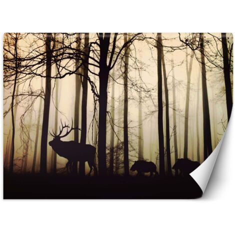 Fototapete, Tiere im Wald - 100x70