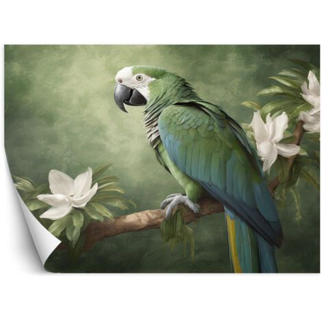 Fototapete Tiere Papagei Vogel 100x70 cm