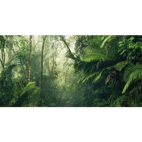 Fototapete Tropenwelten 500x250 cm Komar - Mehrfarbig