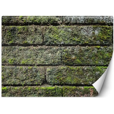 Fototapete Vintage Ziegel Mauer 100x70 cm