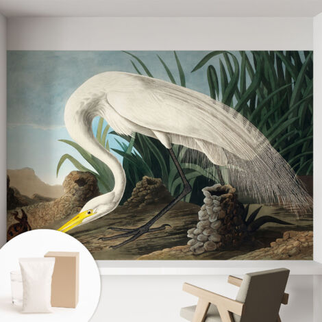 Fototapete Vliestapete mit Kleber - modern Wohnzimmer - Wanddekoration - einfach anzubringen Majestätischer Reiher 152x104 cm