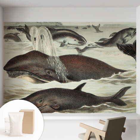 Fototapete Vliestapete mit Kleber - modern Wohnzimmer - Wanddekoration - einfach anzubringen Meeresbewohner 152x104 cm