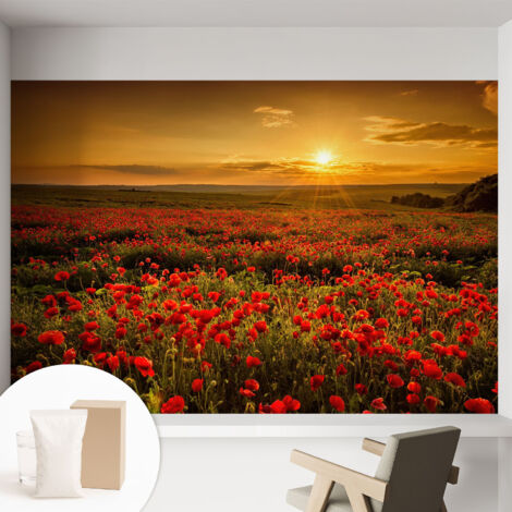 Fototapete Vliestapete mit Kleber - modern Wohnzimmer - Wanddekoration - einfach anzubringen Mohnfeld 152x104 cm
